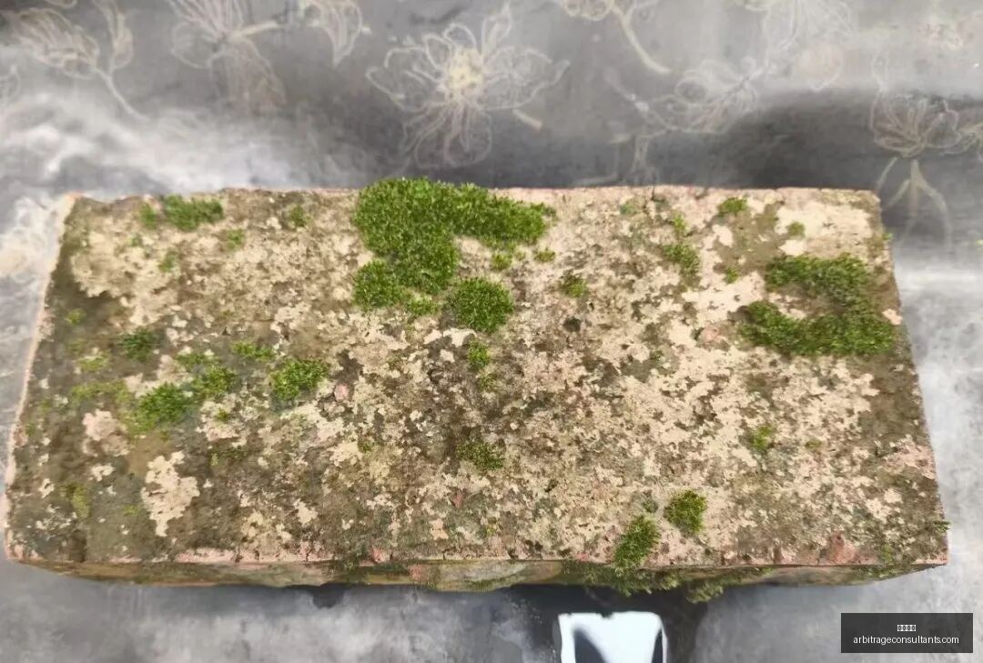 王者荣耀,新英雄,战队战术大,博彩平台官网,博彩平台App,博彩平台下载,博彩平台登录,博彩平台